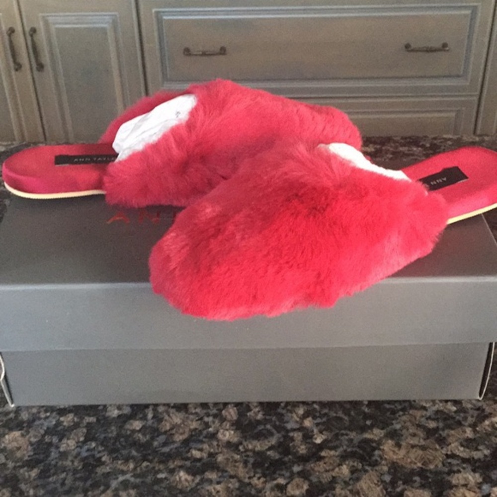 Ann Taylor 6M Bijou Slippers